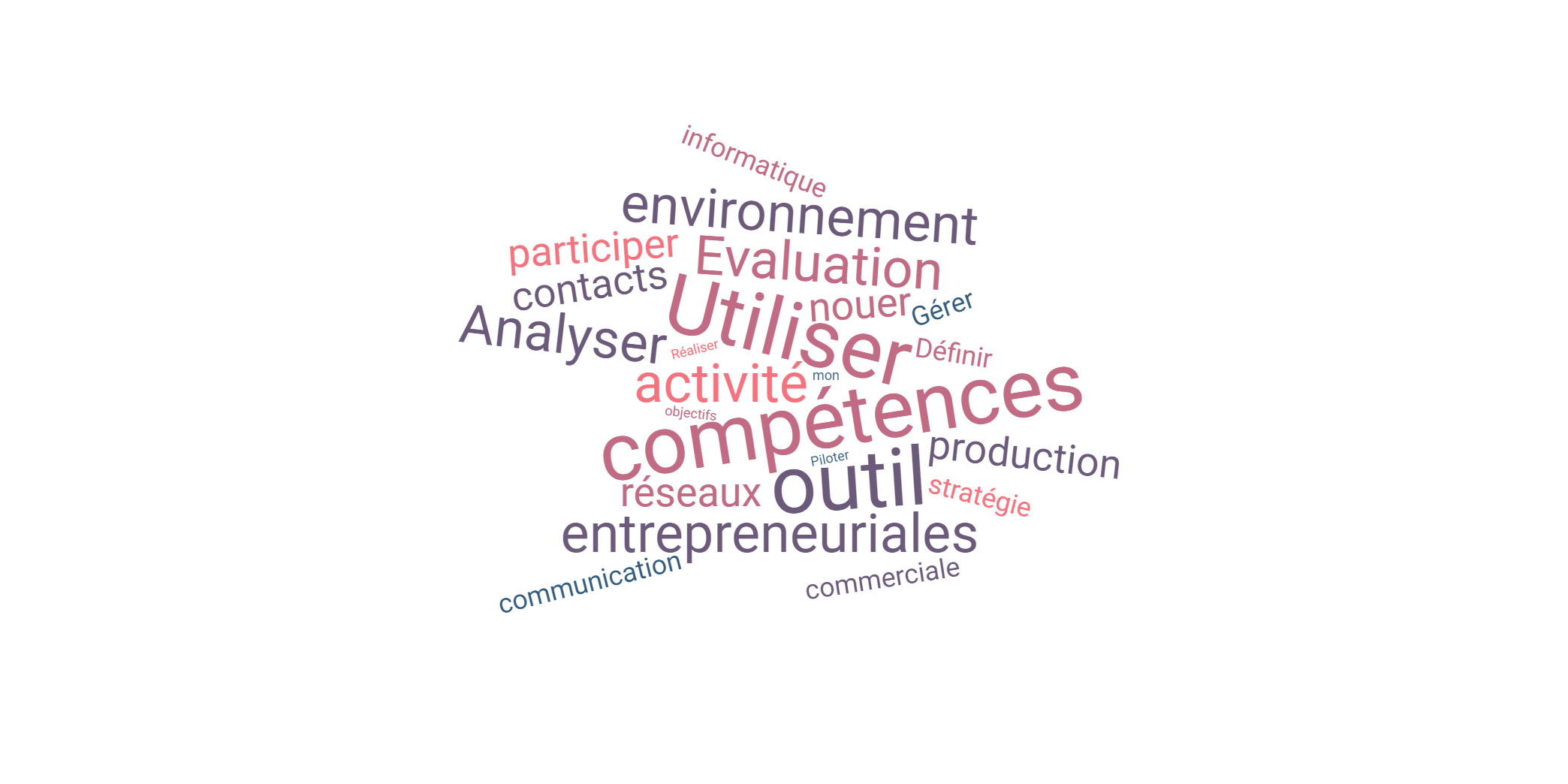 objectifs-mode-d-emploi-de-la-capsule-digitale