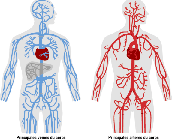 Cliquez sur la photo 