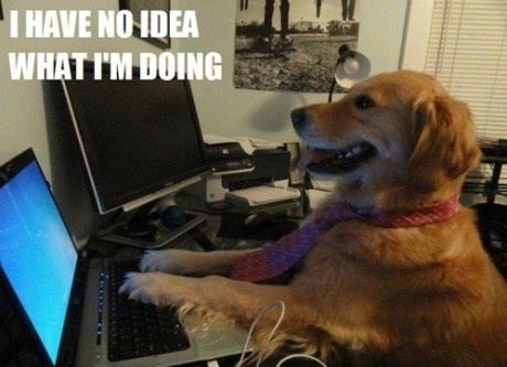 Image de chien devant un ordinateur avec la légende 'I have no idea what i'm doing'